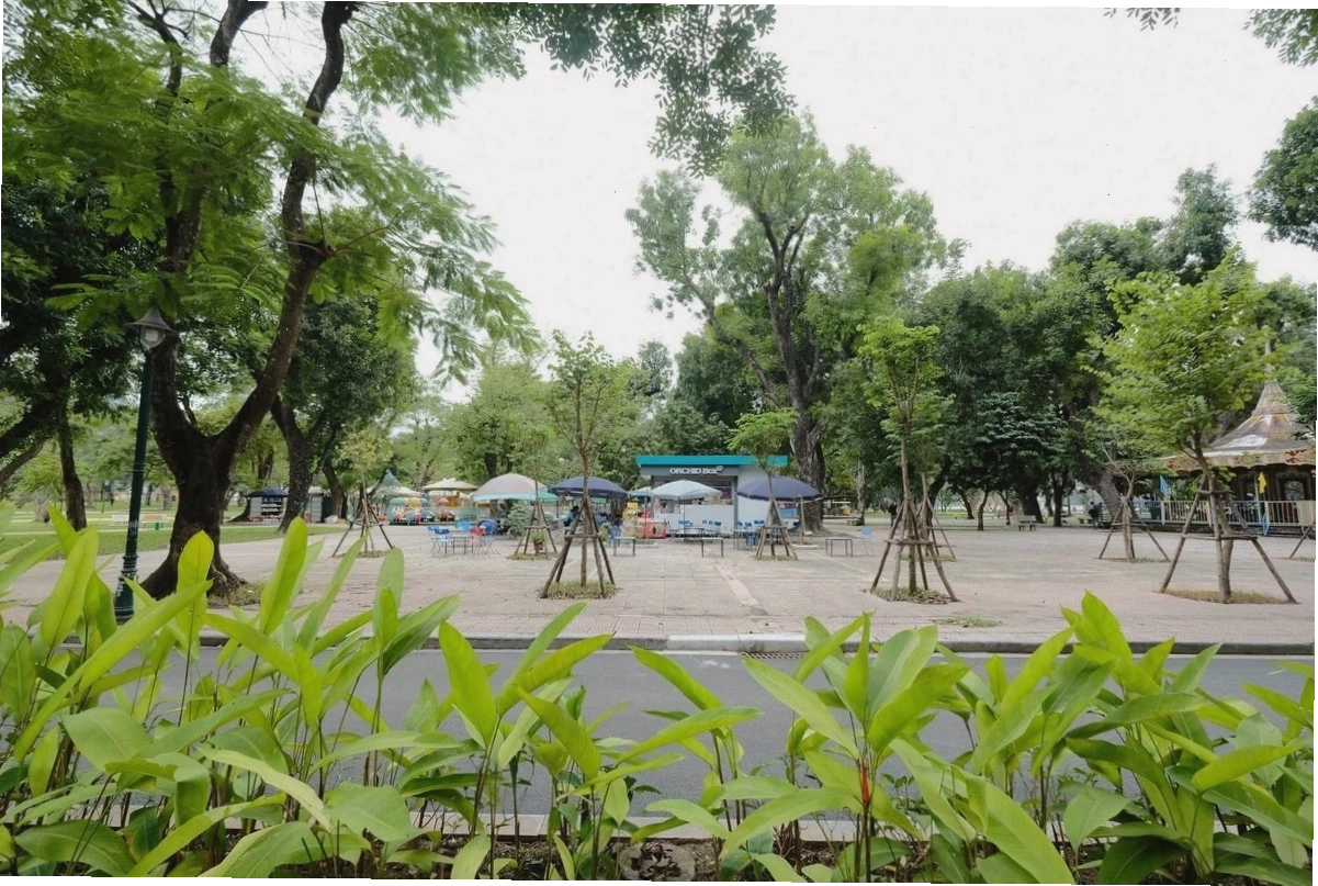 Cây xanh và đời sống của con người, minh họa cho vai trò điều hòa không khí và giảm ô nhiễm
