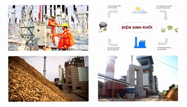 Điện sinh khối là điện được tạo ra từ nguyên liệu hữu cơ