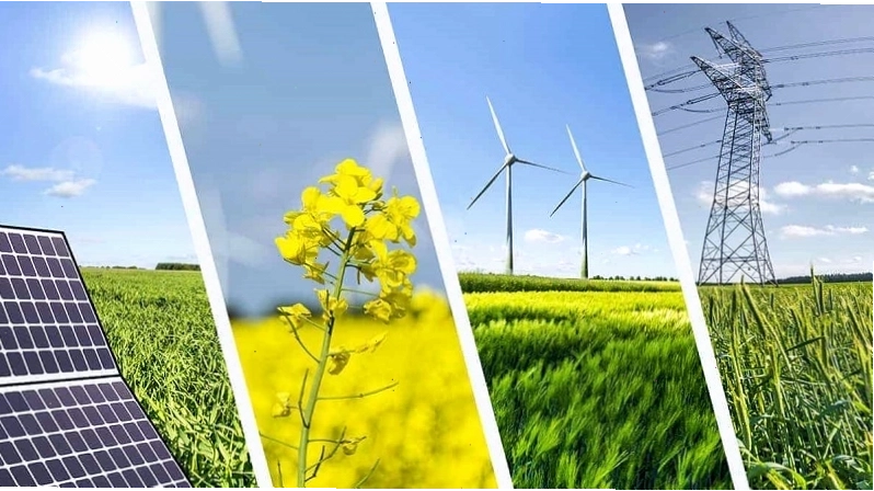 Điện sinh khối là một xu hướng phát triển năng lượng mới