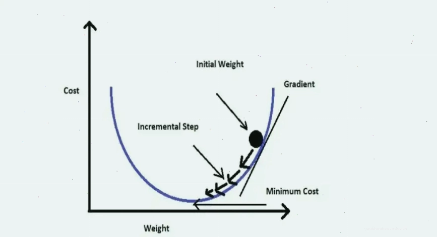 Đồ thị hàm mất mát và Gradient Descent