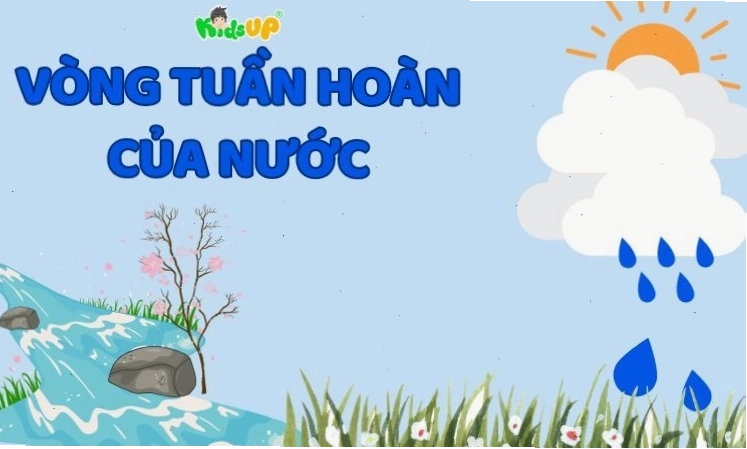 Hình ảnh mây được hình thành từ sự ngưng tụ của hơi nước