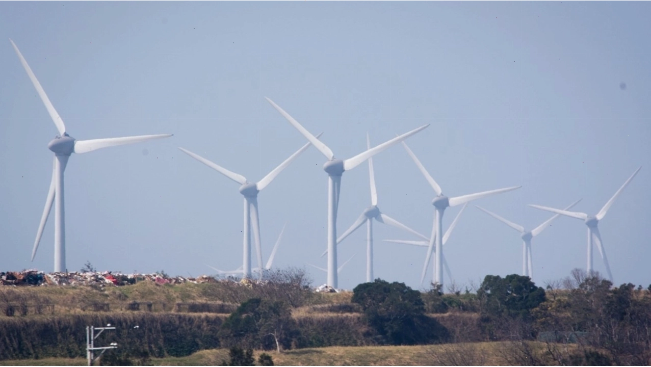 Hình ảnh minh họa khái niệm Carbon Neutral là bước đầu tiên để đạt Net Zero