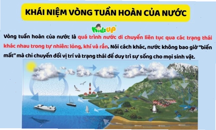 Hình ảnh minh họa quá trình bay hơi nước từ các nguồn khác nhau