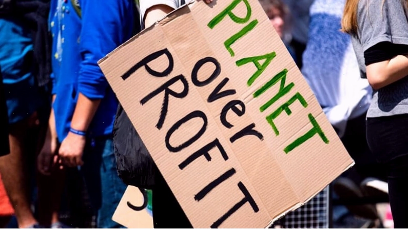 Hoạt động phản đối greenwashing