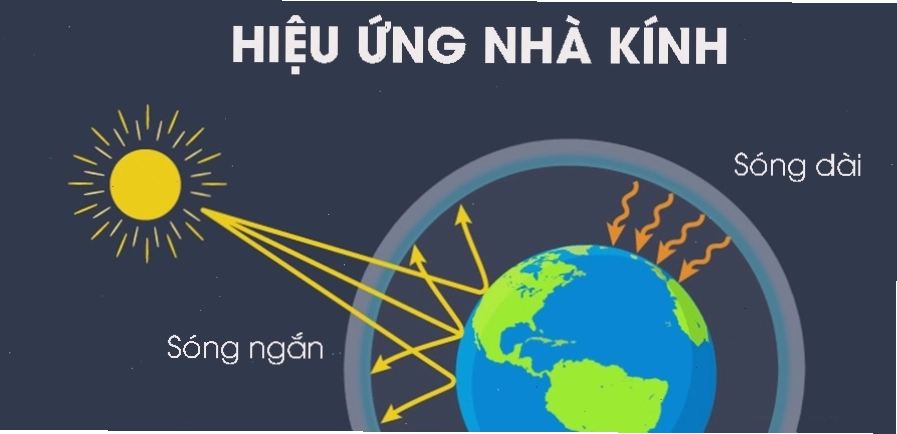 Khí CO2 là khí gây hiệu ứng nhà kính chiếm tỷ trọng lớn nhất, theo biểu đồ minh họa