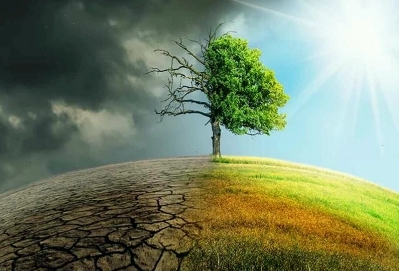 Khí thải công nghiệp là một trong những nguyên nhân chính gây ô nhiễm môi trường