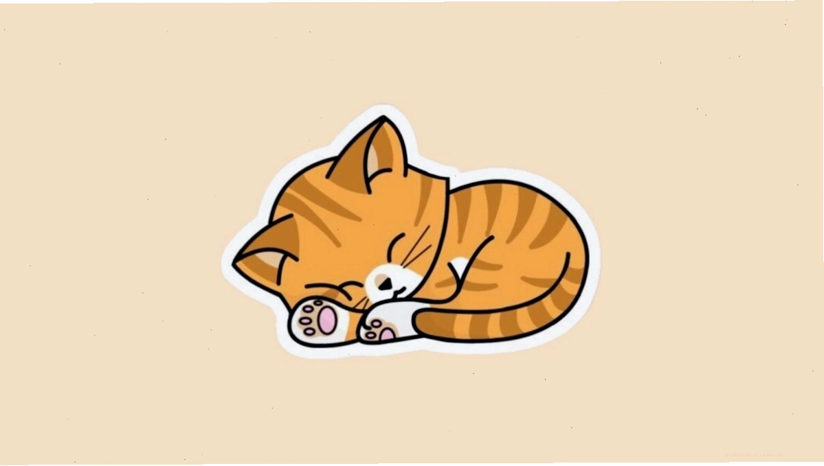 Mèo anime với biểu cảm hài hước