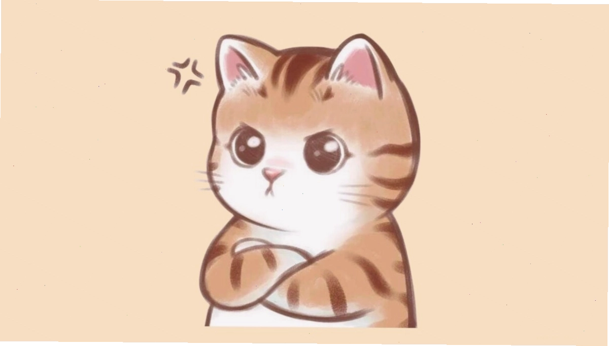 Mèo anime với đôi mắt lấp lánh