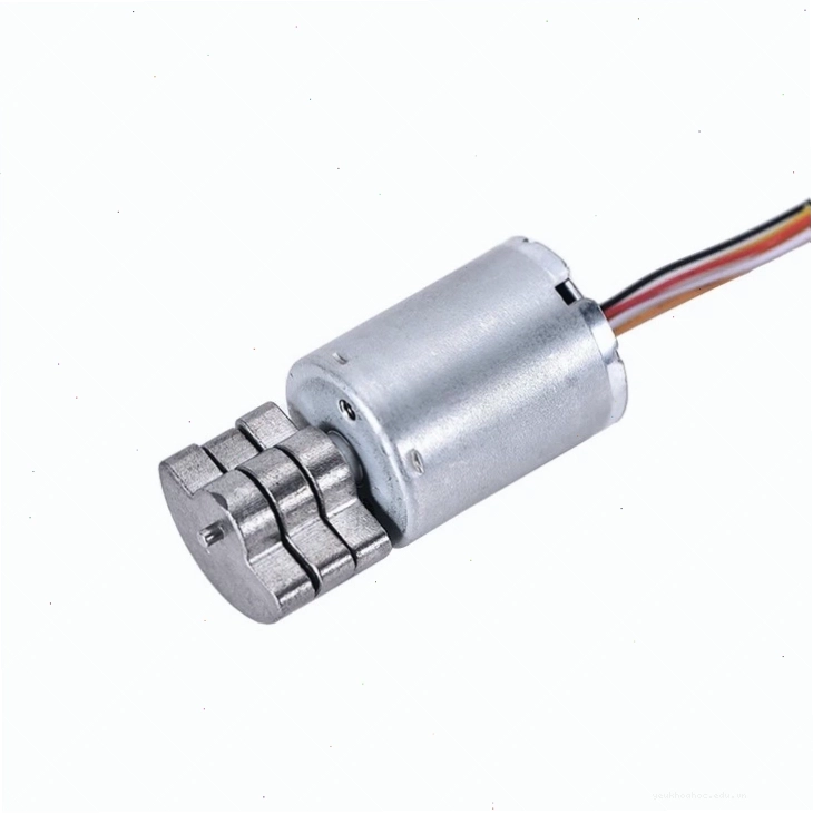 Minh họa động cơ BLDC 12V với các thành phần chính