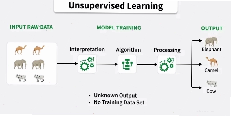 Minh họa học không giám sát trong machine learning