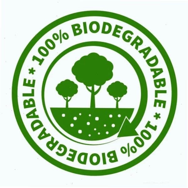 Minh họa khái niệm Biodegradable là gì và quá trình phân hủy tự nhiên