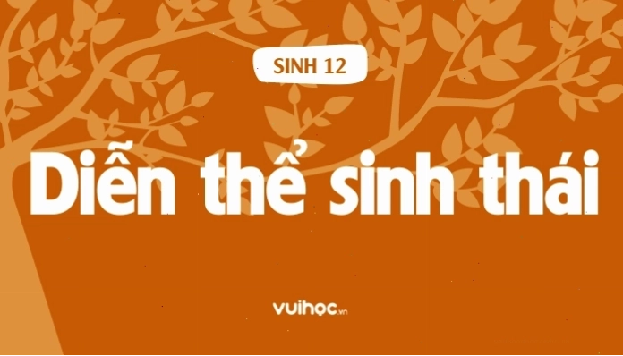 Minh họa quá trình diễn thế sinh thái