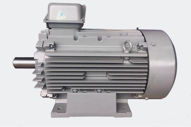 Mô tơ điện Hitachi