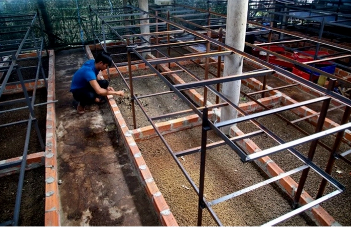 Một trang trại chăn nuôi sạch và hiện đại