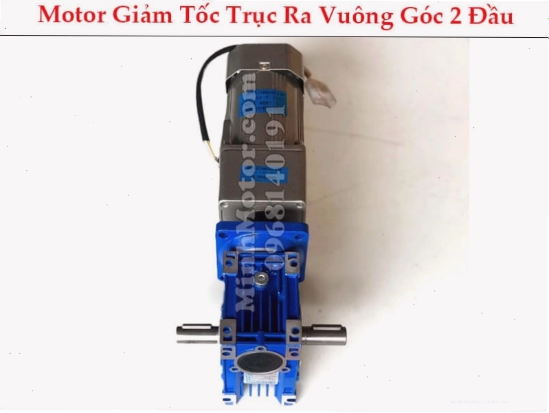 Motor giảm tốc trục ra vuông góc hai đầu
