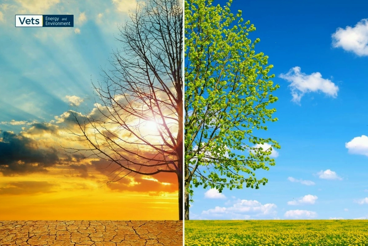 Net Zero hướng tới bảo vệ môi trường toàn cầu