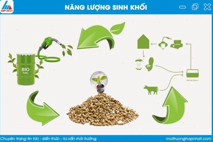 Nhà máy điện sinh khối với các lò đốt và tua bin phát điện