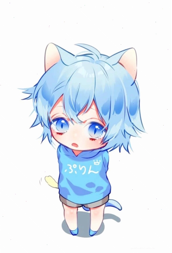 Nhân vật anime chibi nam trong trang phục sặc sỡ