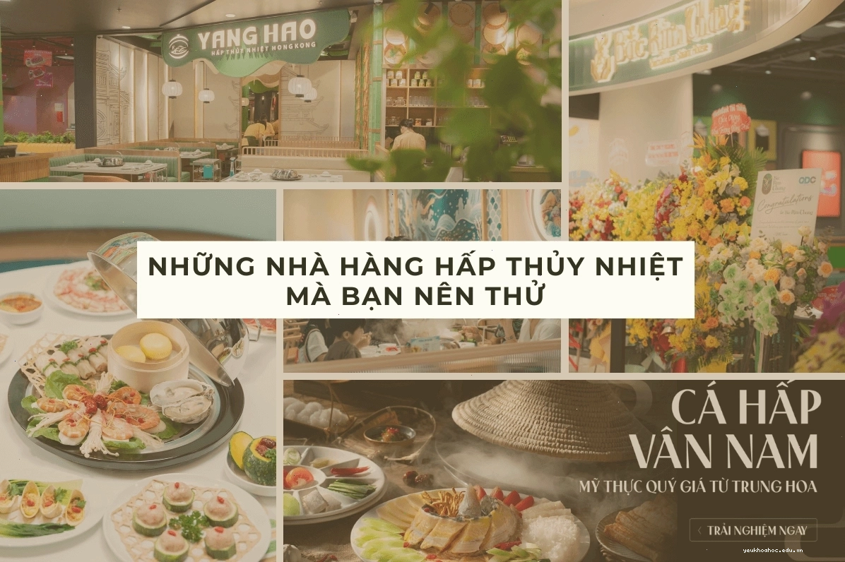 Những nhà hàng hấp thủy nhiệt tại Việt Nam bạn nên thử