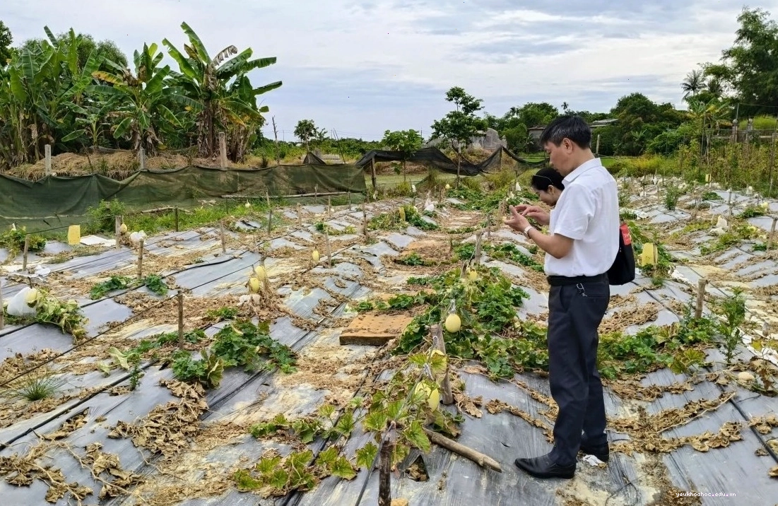 Nông nghiệp thông minh