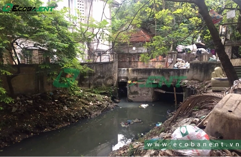 Nước thải sinh hoạt chứa nhiều chất bài tiết và hoạt động vệ sinh