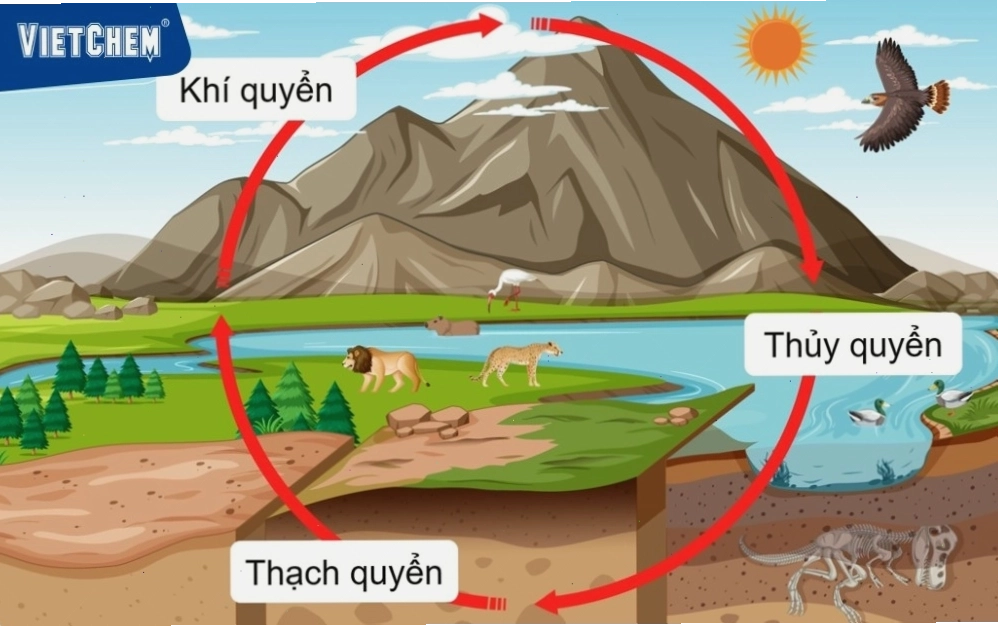Sơ đồ hệ thống sinh quyển