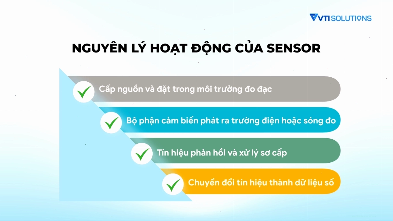 Sơ đồ minh họa nguyên lý hoạt động chung của một sensor