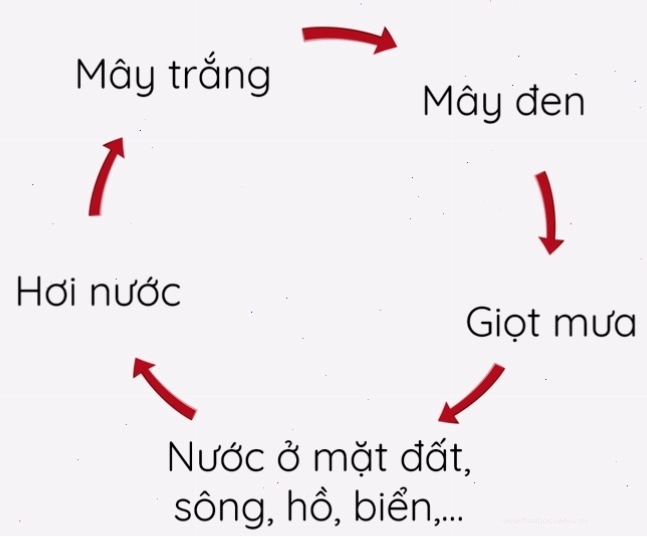 Sơ đồ vòng tuần hoàn của nước trong tự nhiên