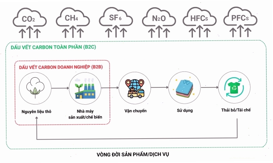 So sánh ISO 14064 và ISO 14067 trong kiểm kê khí nhà kính
