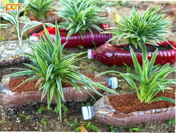 Tái sử dụng đồ nhựa trong cuộc sống hàng ngày