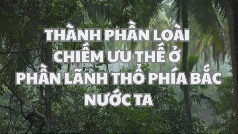 Thành phần loài chiếm ưu thế ở phần lãnh thổ phía Bắc nước ta