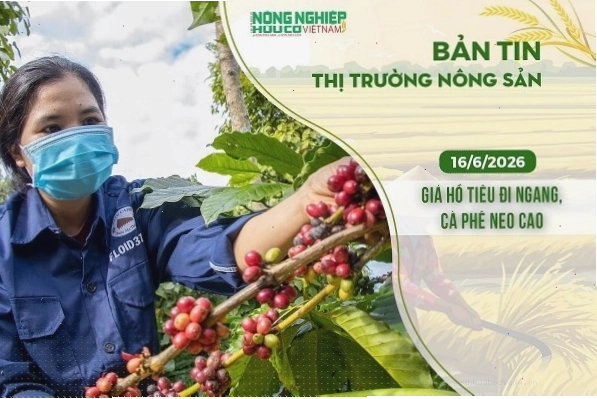 Thị trường cà phê và hồ tiêu