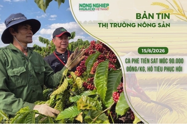 Thị trường nông sản