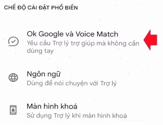 Thiết lập giọng nói Google