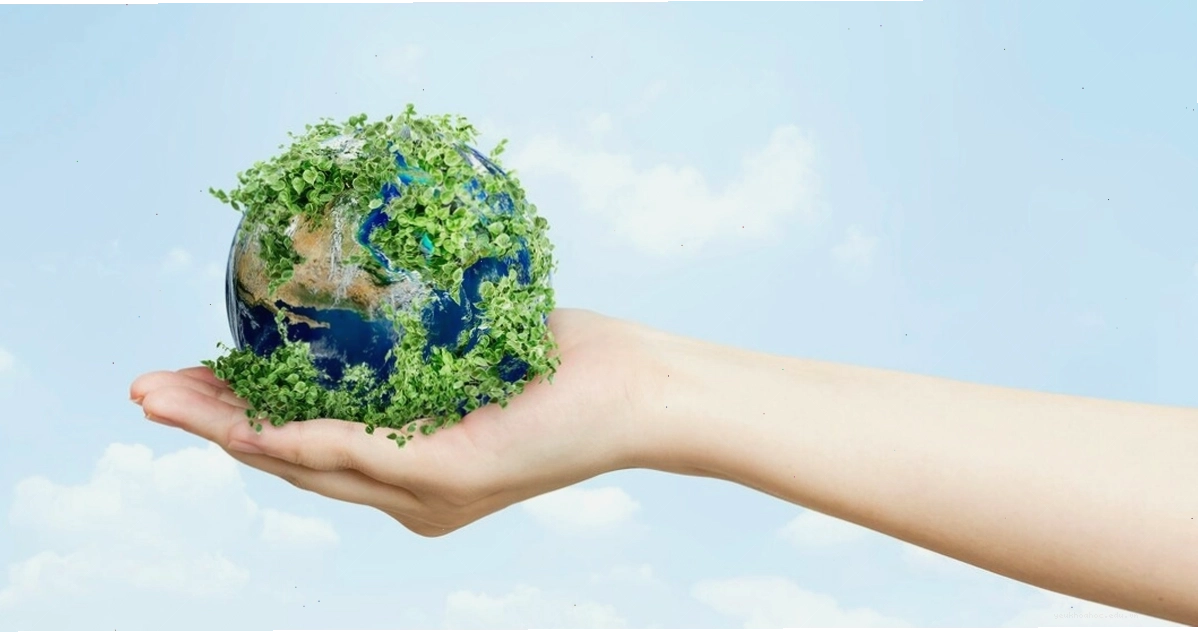 Thời điểm thế giới cần đạt mục tiêu Net Zero