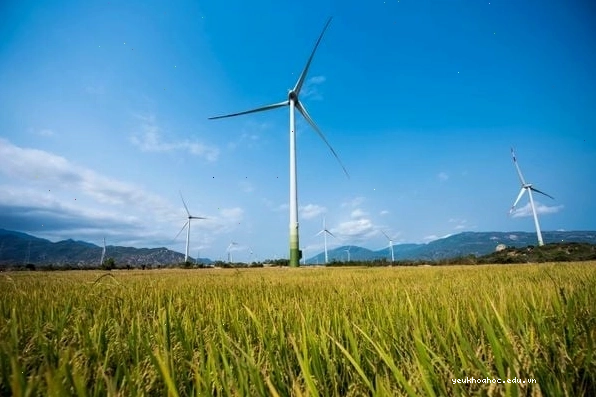 Tiềm năng phát triển năng lượng điện gió tại Việt Nam