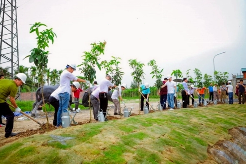 Trồng cây xanh giúp cải thiện chất lượng không khí