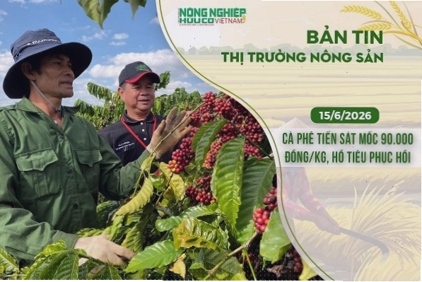 Ứng dụng công nghệ trong nghệ thuật