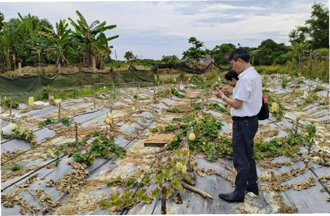 Ứng dụng công nghệ trong nông nghiệp tại TP Huế