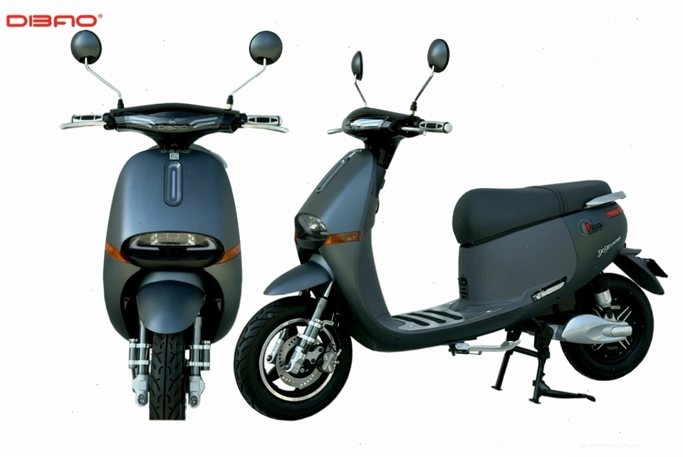 Xe máy điện Dibao Gogo Cross với nhiều chi tiết thiết kế hiện đại