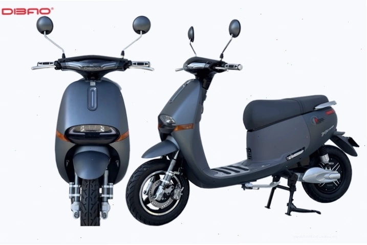 Xe máy điện Gogo Cross được nhiều người ưa chuộng