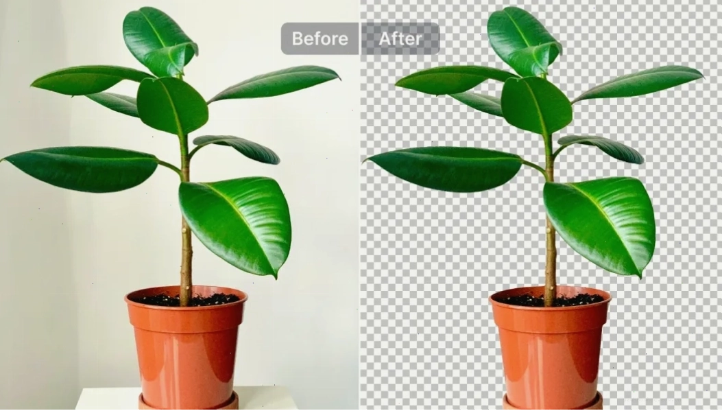 Xóa nền cho hình sản phẩm, đồ vật