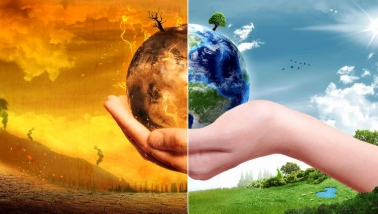 Tác động của biến đổi khí hậu toàn cầu đến môi trường sống