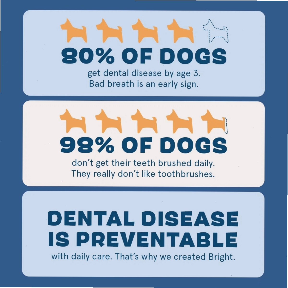 Comprehensive dental kit for pet owners