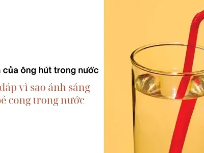 Vì sao ánh sáng cong trong nước? Hiện tượng khúc xạ