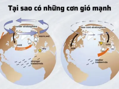Vì sao gió thổi mạnh? Giải mã nguyên nhân chênh lệch áp suất
