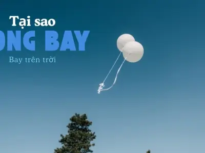 Vì sao bóng bay bay lên trời? Tìm hiểu trọng lực và lực đẩy