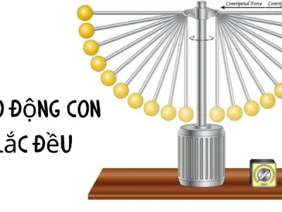 Vì sao dao động con lắc đều? Vai trò của lực cản