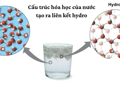 Giải mã vì sao giọt nước có hình tròn - Tìm hiểu lực căng bề mặt
