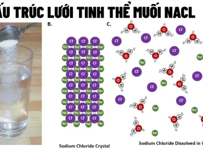 Vì sao tinh thể muối hình vuông? Trật tự của nguyên tử